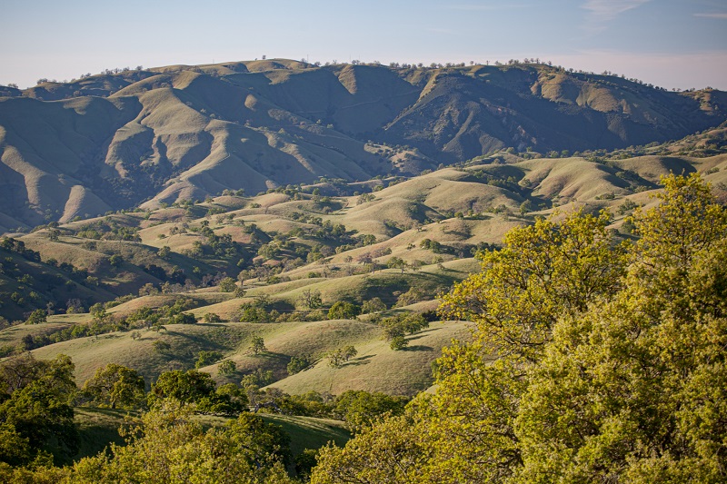 Overview of rolling foothills and oak woodland within the Carmel Valley.
